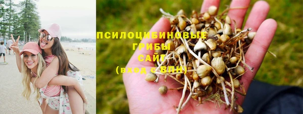 амфетамин Алексин