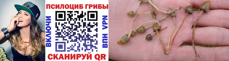 Галлюциногенные грибы мицелий  купить наркотик  Уссурийск 