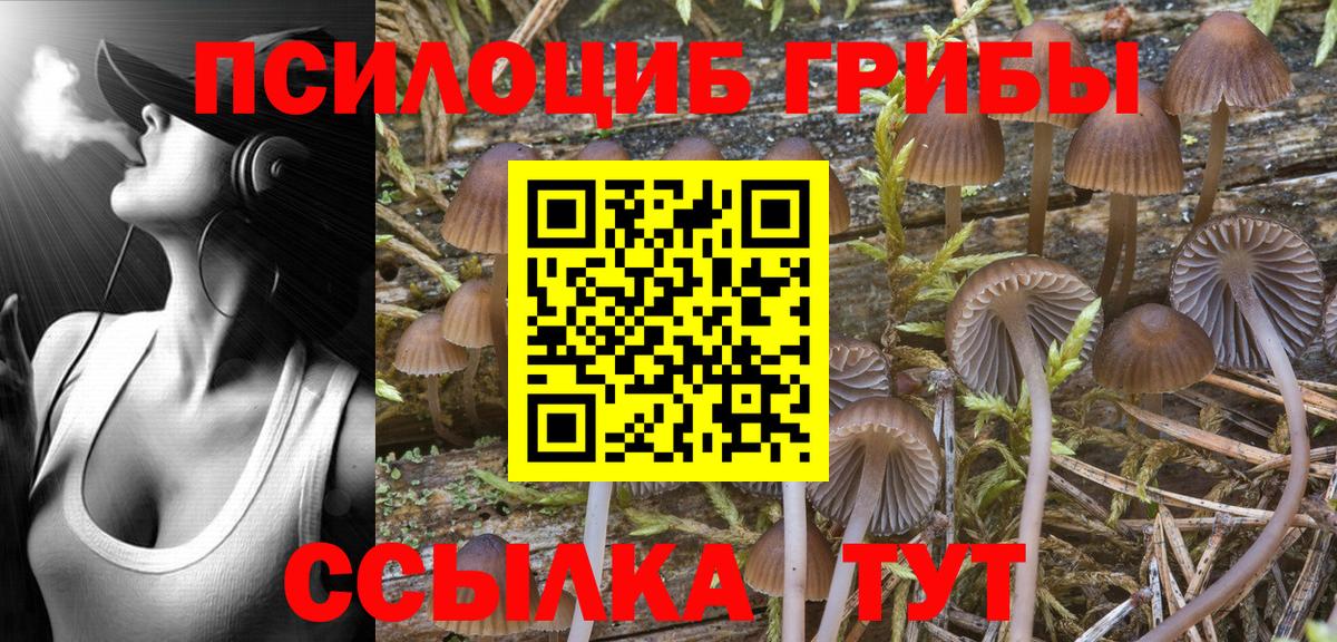 Галлюциногенные грибы Magic Shrooms Уссурийск