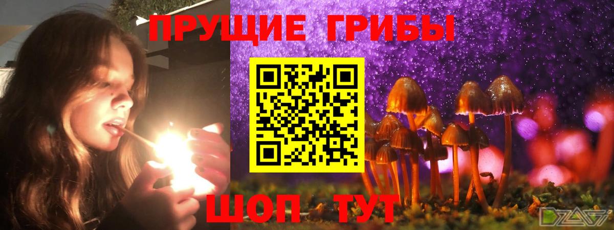 наркошоп  Псилоцибиновые грибы мицелий  Псилоцибиновые грибы MAGIC MUSHROOMS  Вход с VPN  Уссурийск 