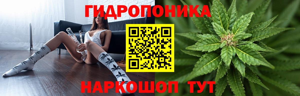 Конопля конопля  Вход с VPN  Уссурийск  Бошки марихуана тримм 
